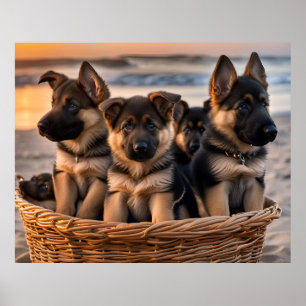 Affiche Panier rempli de chiots allemands