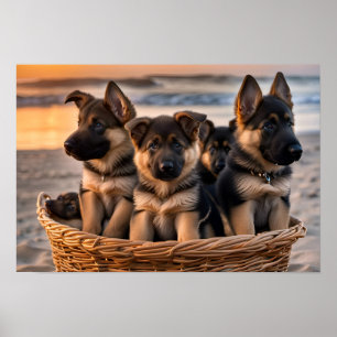 Affiche Panier rempli de chiots allemands