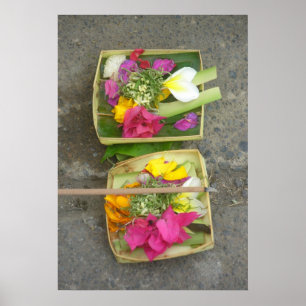 Affiche Paniers de offre de Balinese