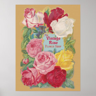 Affiche Panneau Boutique Vintage Rose