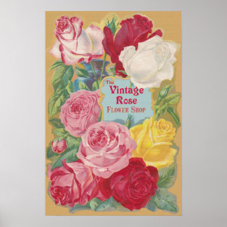 Affiche Panneau Boutique Vintage Rose