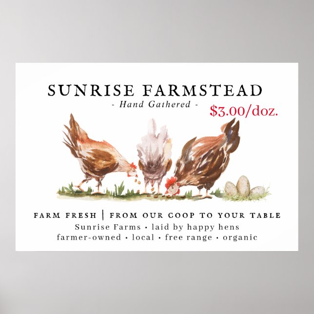 Affiche Panneau d'affaires pour la vente d'œufs frais de l (Devant)