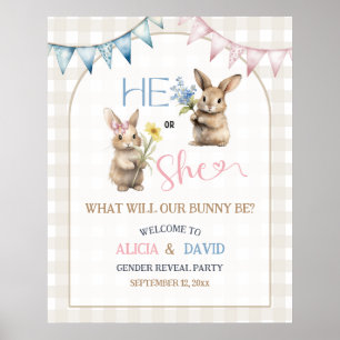 Affiche Panneau de bienvenue pour révélation de sexe avec 