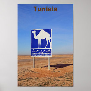 Affiche Panneau de chameaux, Tunisie