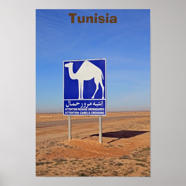 Affiche Panneau de chameaux, Tunisie (Devant)