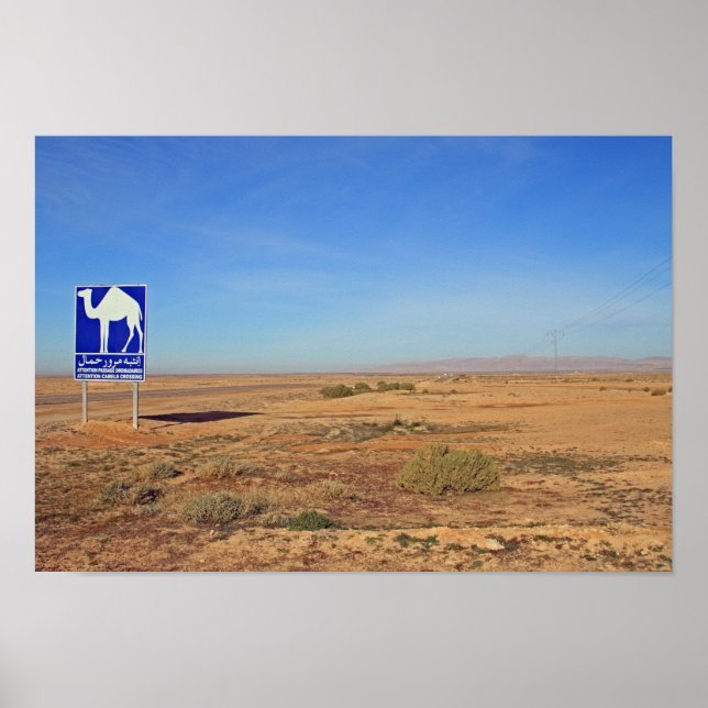 Affiche Panneau de chameaux, Tunisie (Devant)