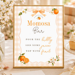 Affiche Panneau de fête de Baby Shower Momosa pour un peti