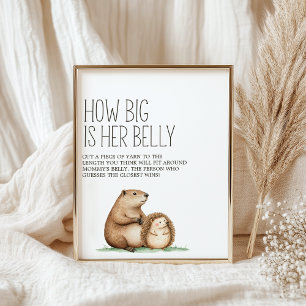Affiche Panneau de jeu de ventre de Baby Shower Boho Woodl
