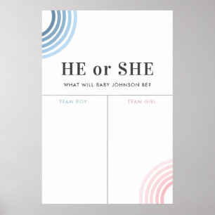 Affiche Panneau de vote bleu ou rose arc-en-ciel
