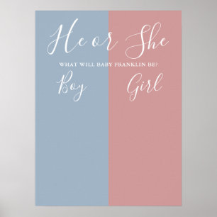 Affiche Panneau de vote pour la révélation du sexe Bleu et