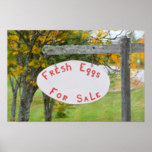 Affiche Panneau d'œufs frais à vendre dans le Vermont