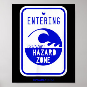 Affiche Panneau routier Zone de danger de tsunami Plage et