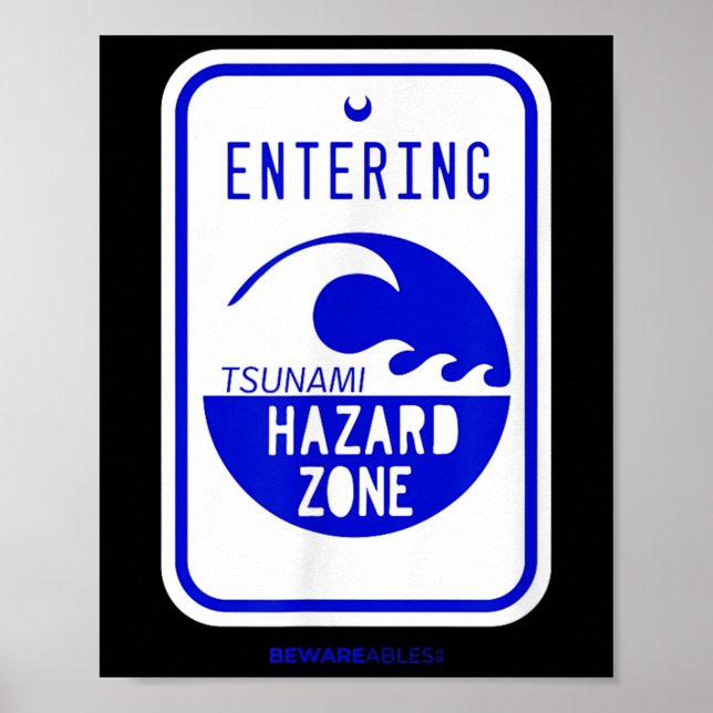 Affiche Panneau routier Zone de danger de tsunami Plage et (Devant)