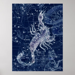 Affiche Panneau Scorpio Zodiac Illustration Vintage