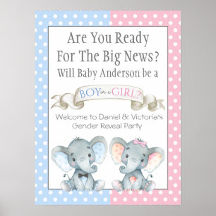 Affiche Panneaux de Révélation du Sexe pour Baby Shower
