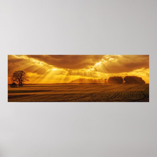 Affiche Panorama de coucher de soleil à la campagne (Devant)