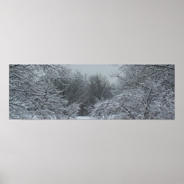 Affiche Panorama hivernal (Devant)