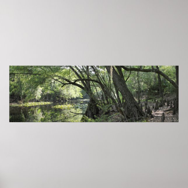 Affiche panoramique de Cypress River -60x20 -ou pl (Devant)