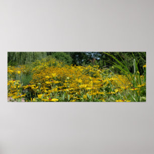 Affiche Panoramique fleur sauvage Meadow
