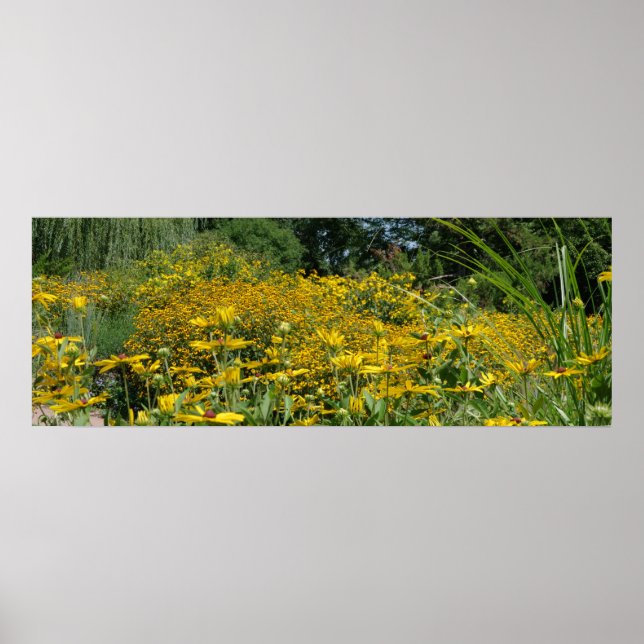 Affiche Panoramique fleur sauvage Meadow (Devant)