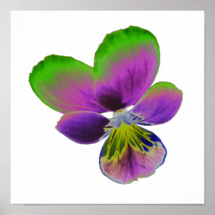 Affiche Panser violet vert