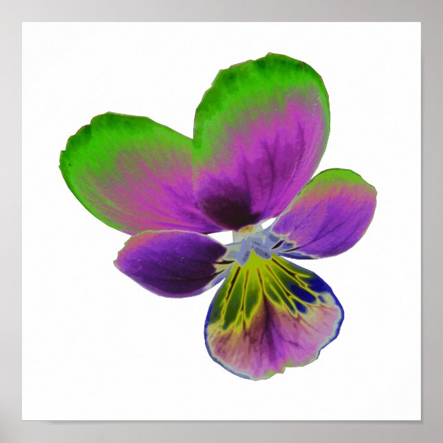 Affiche Panser violet vert (Devant)