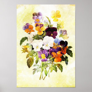 Affiche Pansies