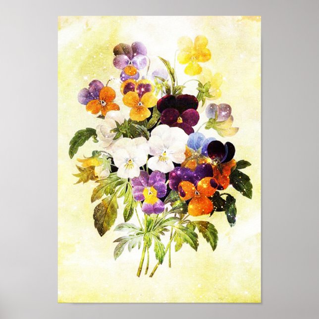 Affiche Pansies (Devant)