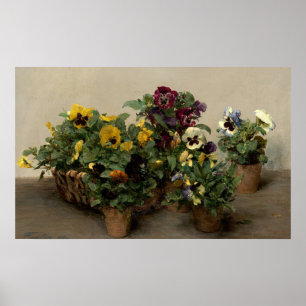 Affiche Pansies - Henri Fantin-Latour