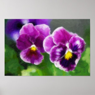 Affiche Pansies violettes