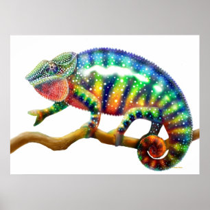 Affiche Panthère colorée Chameleon Imprimer