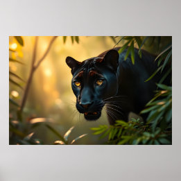 Affiche Panthère noire sauvage Jungle léopard Big Cat