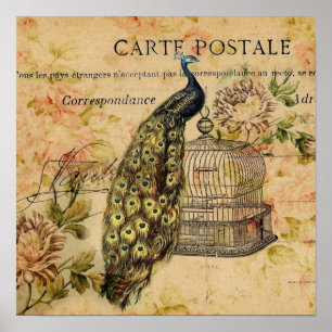 Affiche paon botanique français de cru de nouveau d'art