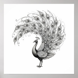 Affiche Paon noir et blanc