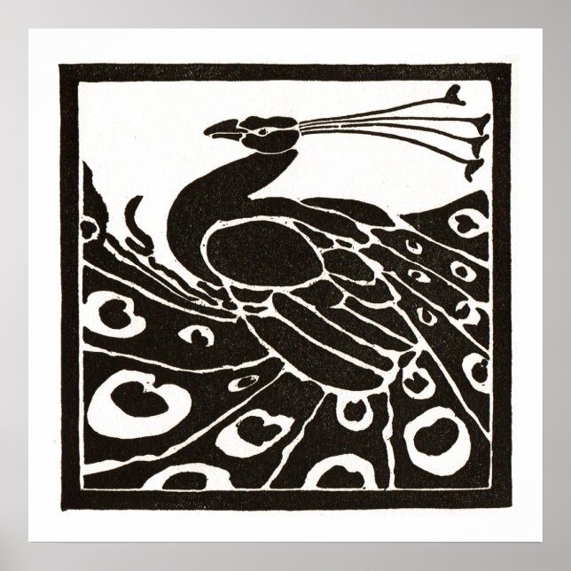 AFFICHE PAON NOIR ET BLANC (Devant)