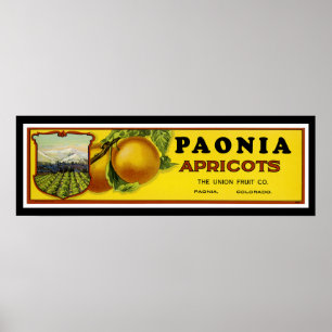 Affiche Paonia Apricots Art Étiquette