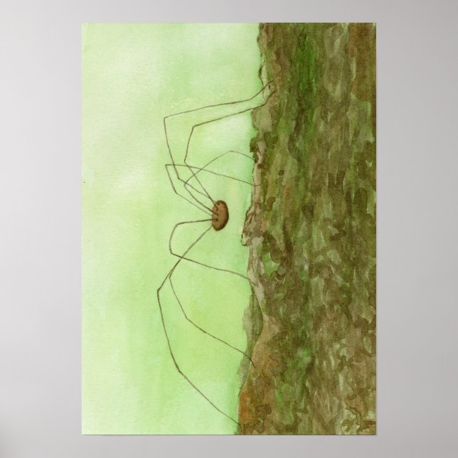 Affiche Papa Long Jambes (Devant)