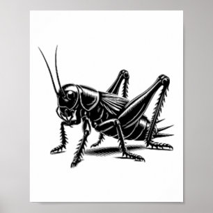 Affiche Papa Maman amateur de cricket - Cricket monochrome