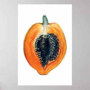 Affiche PAPAYA imprimé orange de fruits botaniques