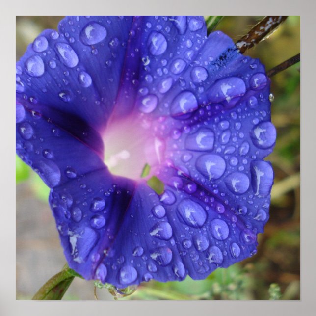 Affiche Papeterie et art (Devant)