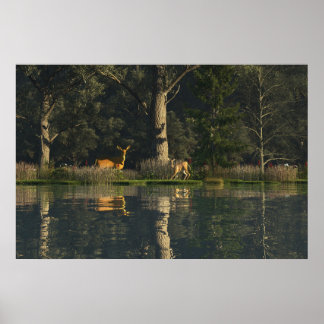 Affiche papier 30" x 24" avec l'image "Effrayée"