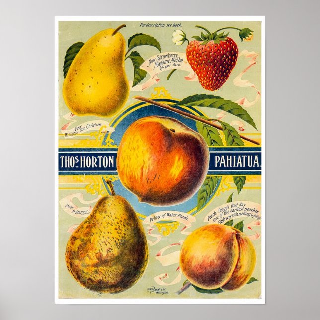 Affiche Papier à fruits néo-zélandais (Devant)