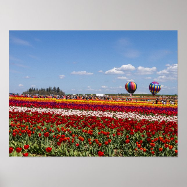 Affiche Papier-affiche pour tulipes de printemps (Matte) (Devant)