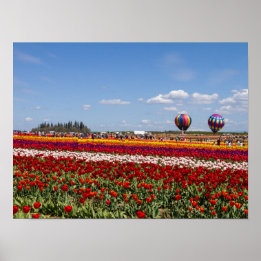 Affiche Papier-affiche pour tulipes de printemps (Matte)