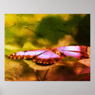 Affiche Papier Art Distressé Papillon Bleu de la Nature