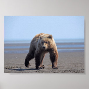 Affiche Papier d'affiche 7x5 (Matte) de grizzli