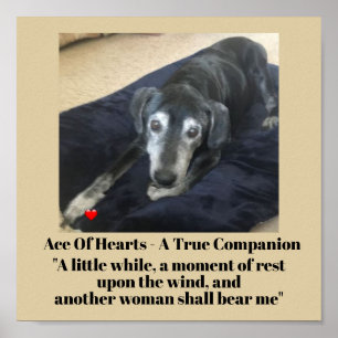 Affiche Papier d'affiche commémoratif de la typographie de