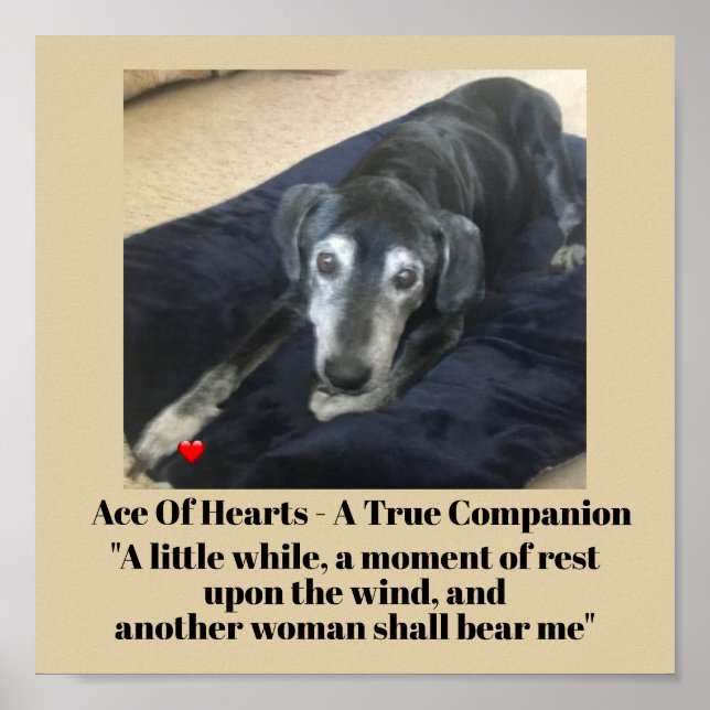 Affiche Papier d'affiche commémoratif de la typographie de (Devant)