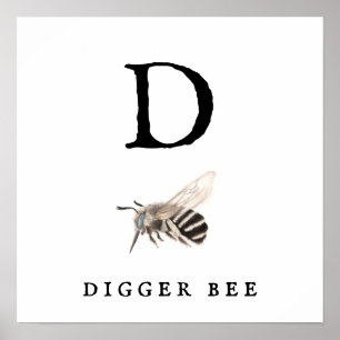 Affiche Papier d'affiche "D" Digger Bee Value (Matte)
