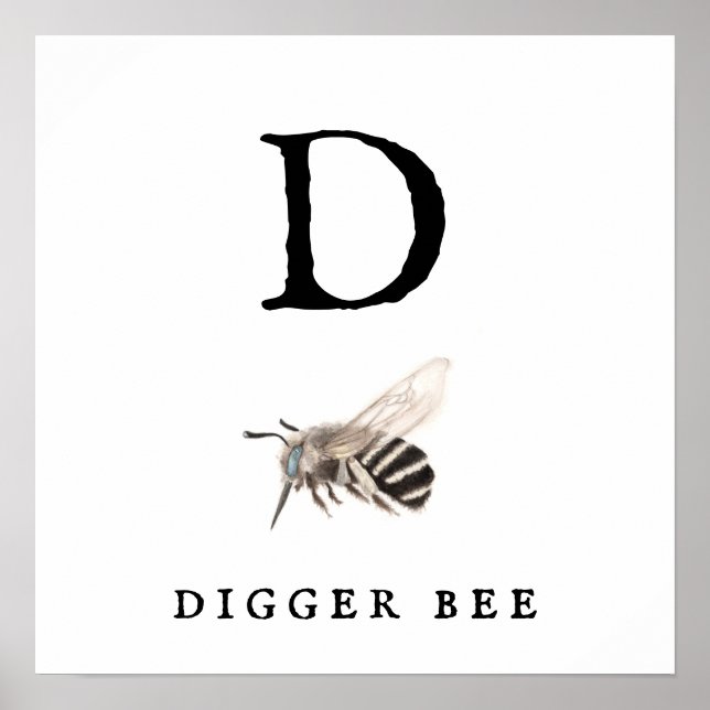 Affiche Papier d'affiche "D" Digger Bee Value (Matte) (Devant)
